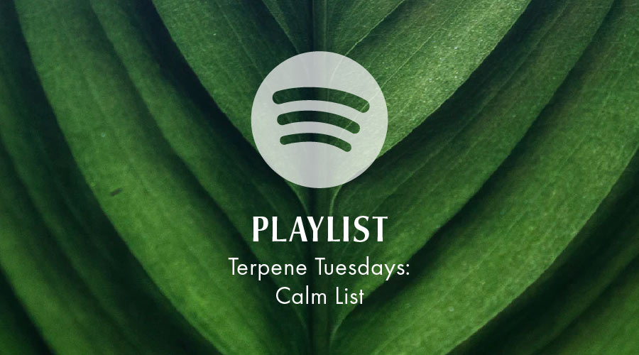 Terpene Tuesdays: Calm-Inducing Playlist For a High Anxiety Week