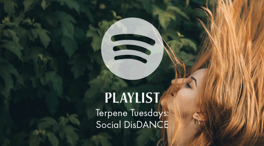 Terpene Tuesdays: Social DisDANCE Playlist